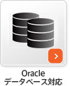Oracleデータベース対応